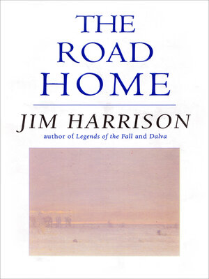 cover image of The Road Home